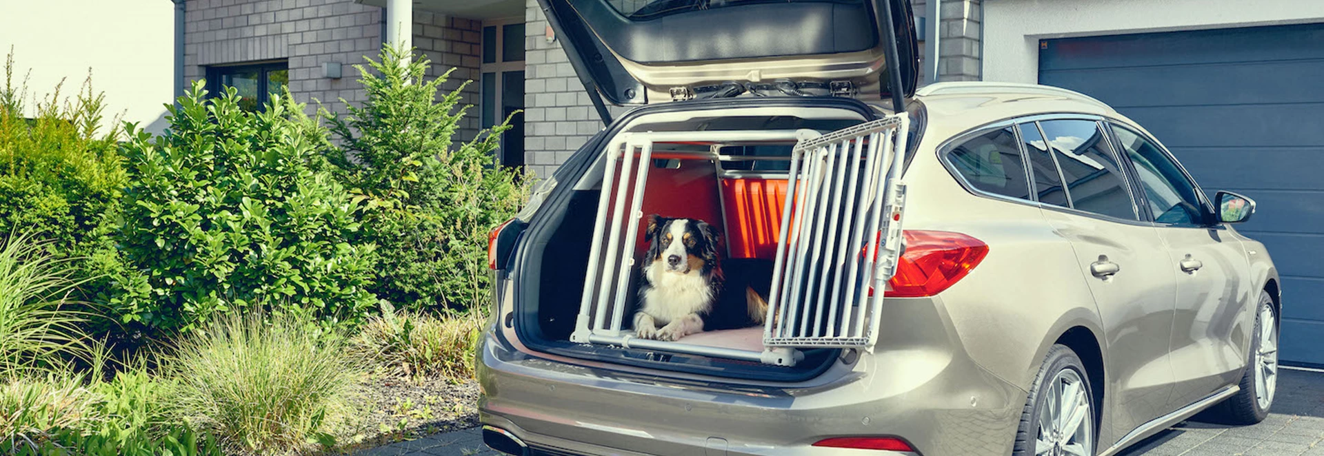 Third of dog-owning drivers risk safety by letting pets roam in car